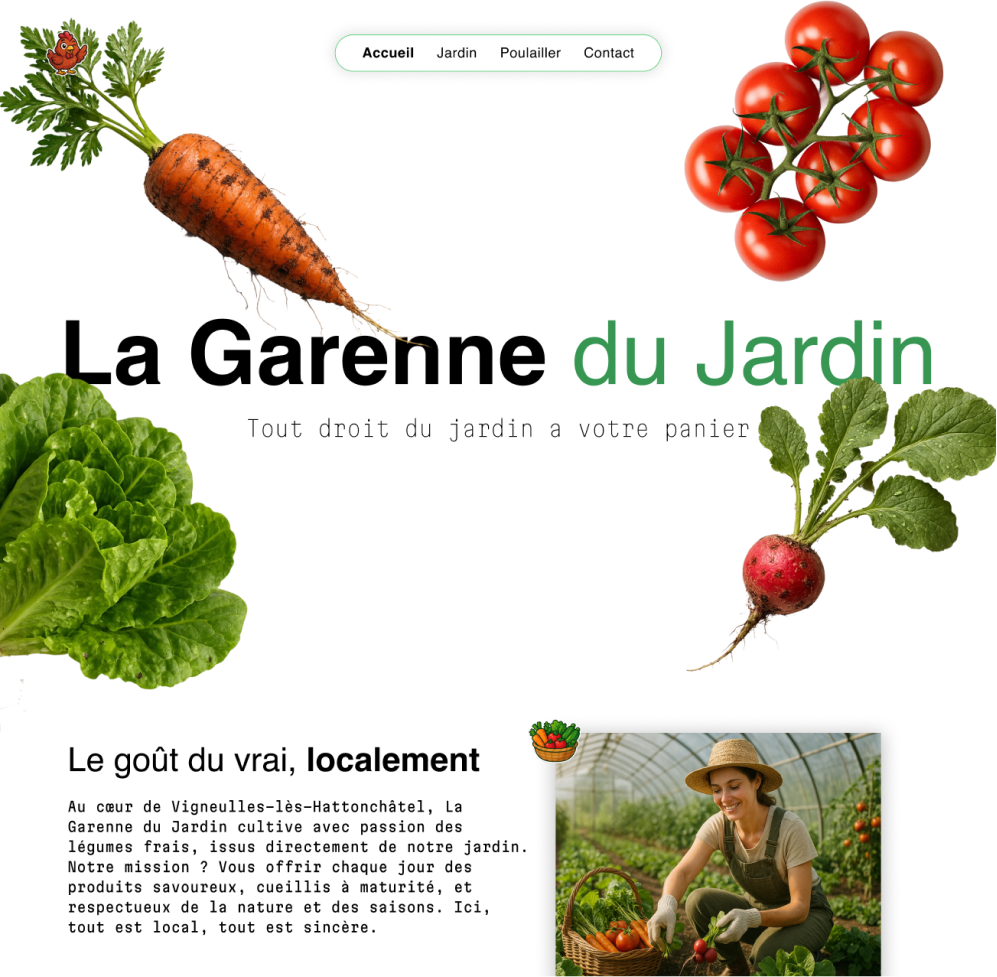 Création de site web — Digital Dreamsbox