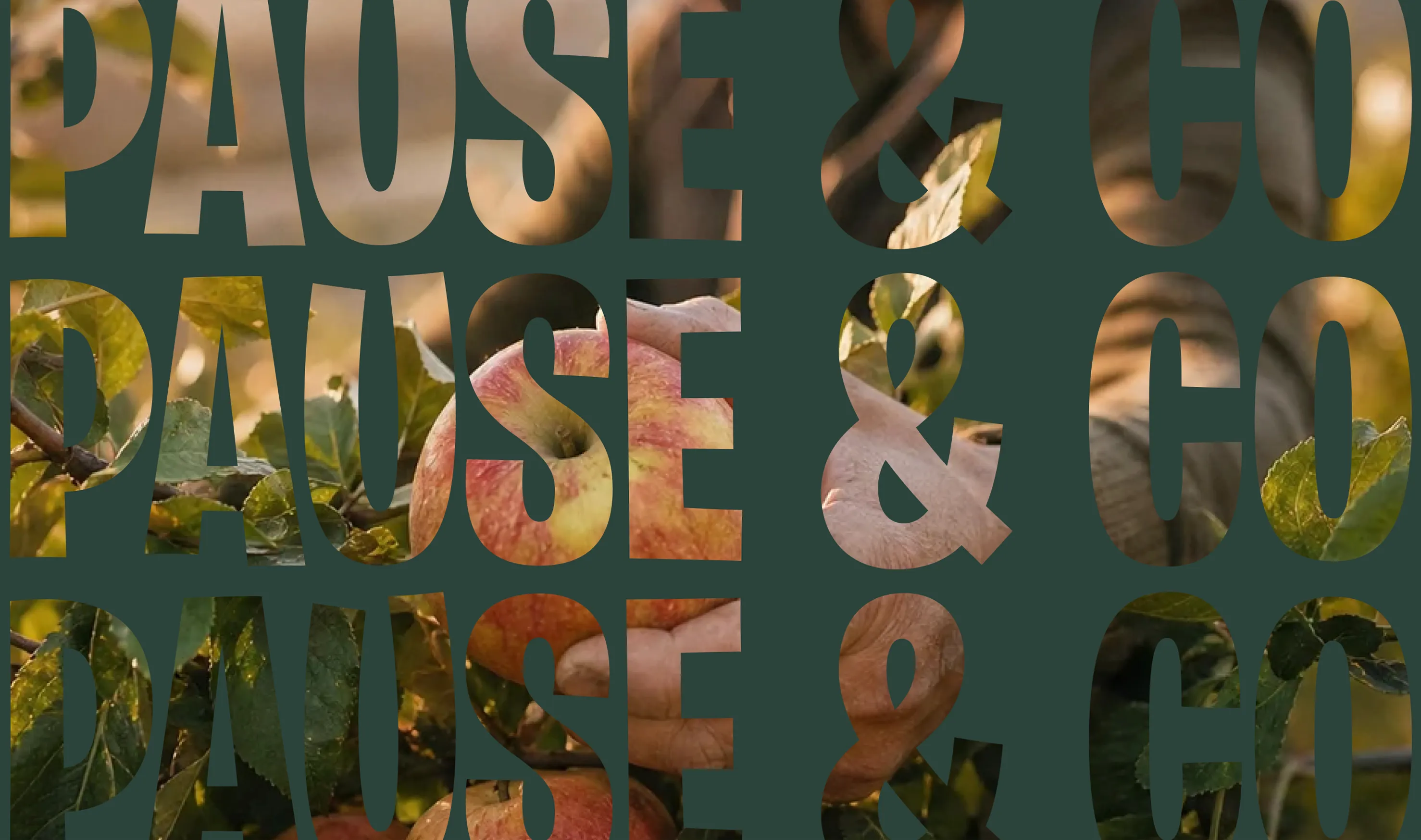 Pause & co — masque typographique de la marque